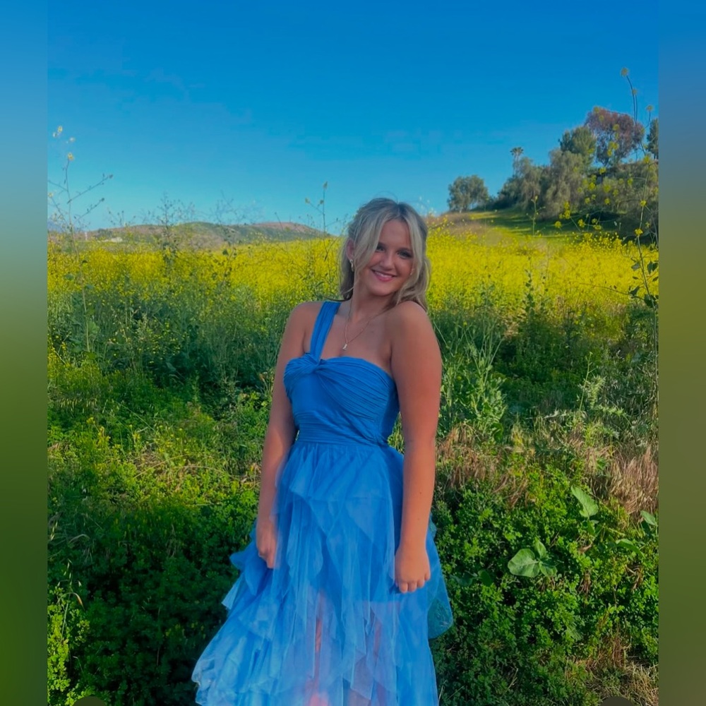 Hello Molly Homecoming/Prom Dress